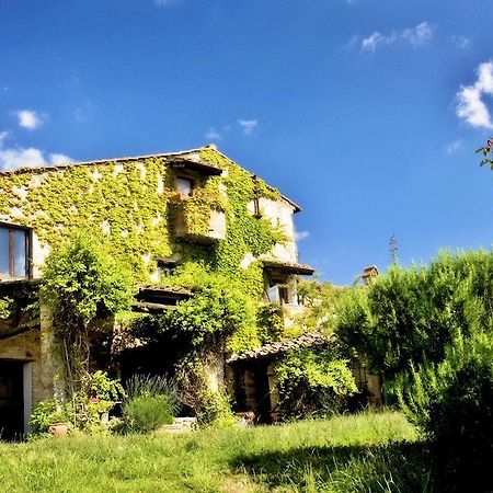 Podere Patrignone Hostal Castellina in Chianti Exterior foto