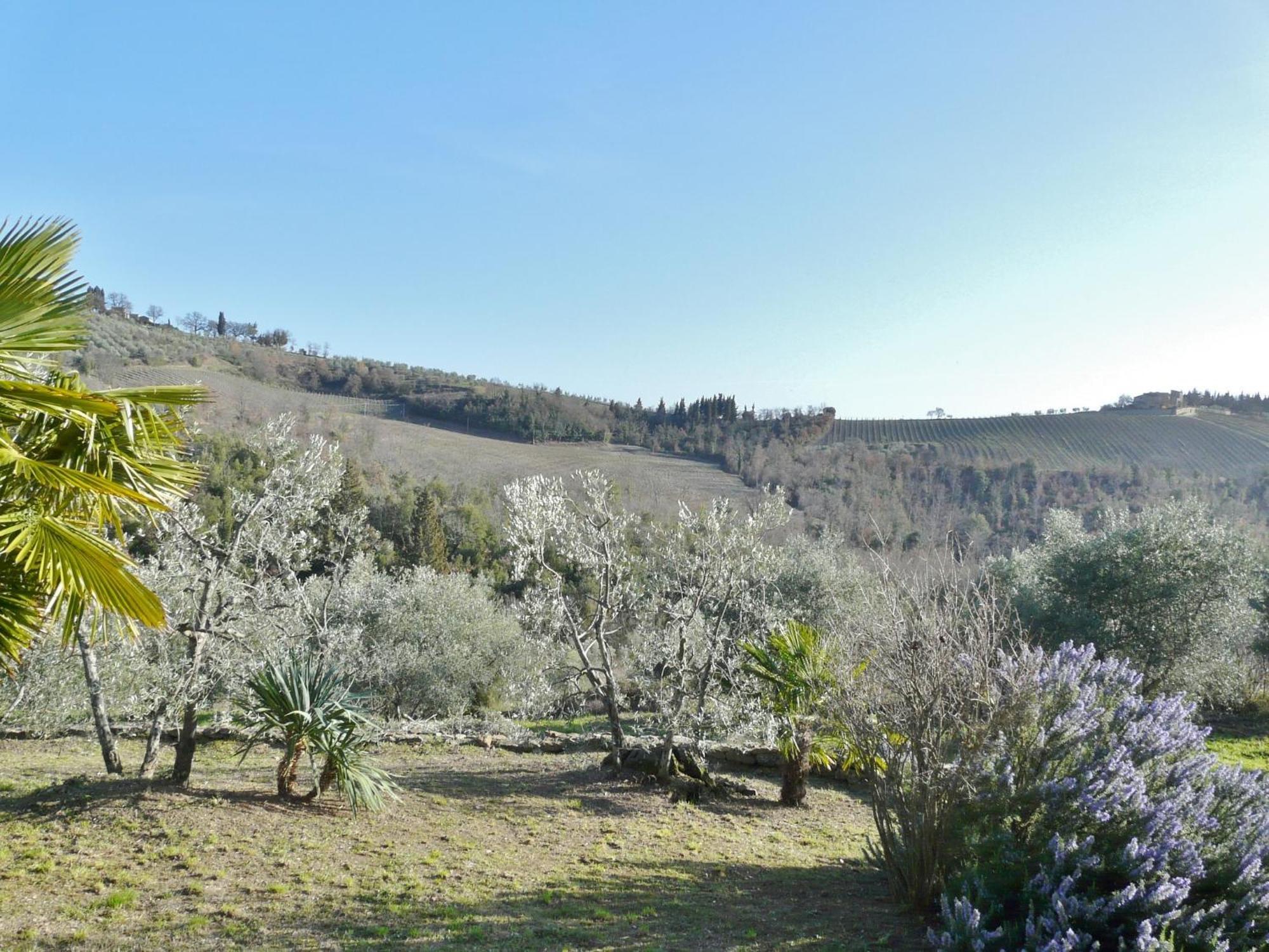 Podere Patrignone Hostal Castellina in Chianti Habitación foto