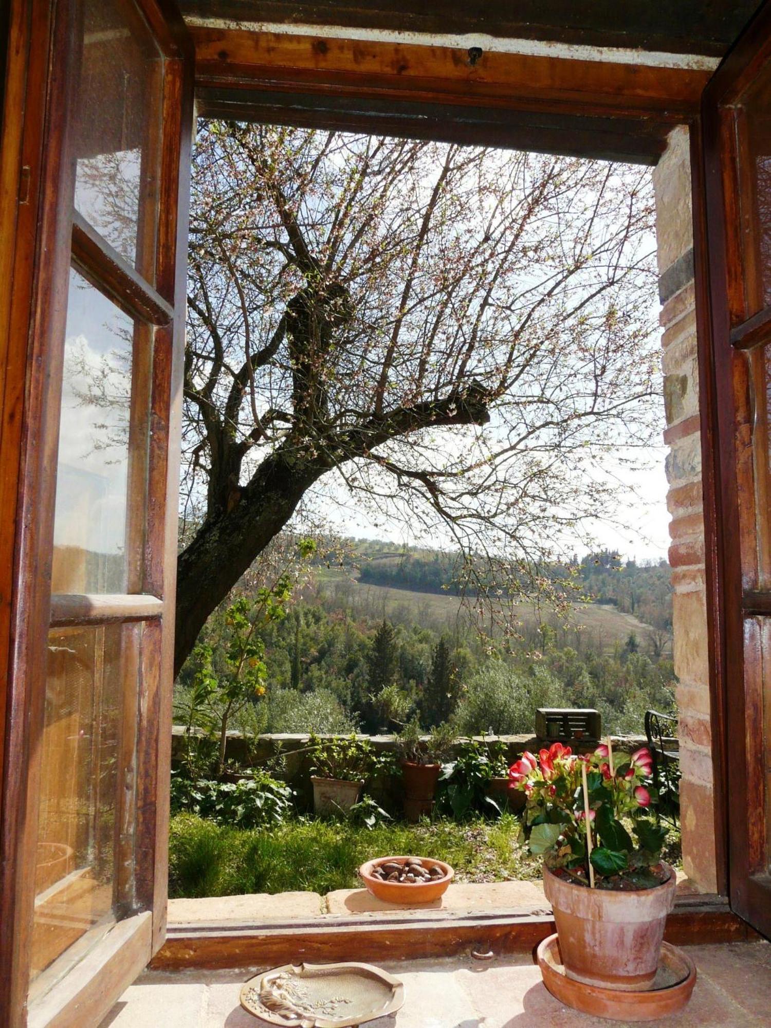 Podere Patrignone Hostal Castellina in Chianti Habitación foto