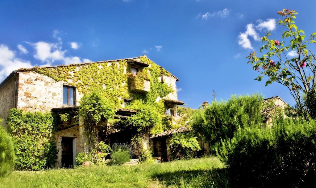Podere Patrignone Hostal Castellina in Chianti Exterior foto